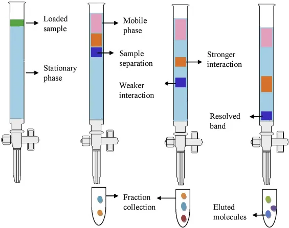 Stationary and mobile phase